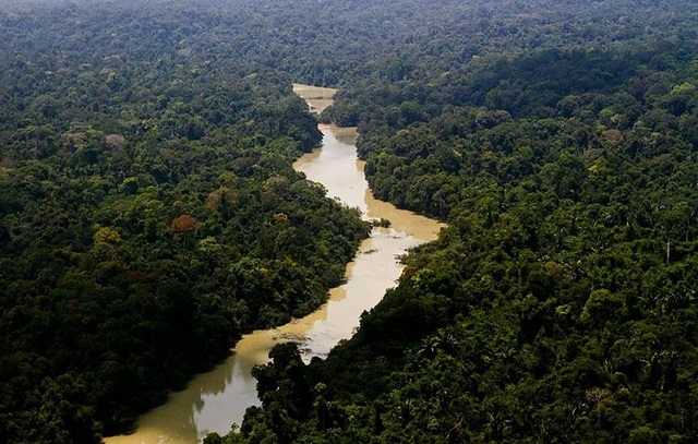 Alertas de desmatamento caem 66% na Amazônia em agosto