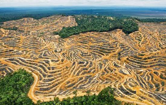 Noruega anuncia corte de quase R$ 200 milhões ao Fundo da Amazônia