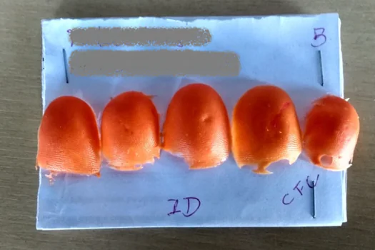 Detran.SP encontra moldes de silicone em autoescola de Carapicuíba