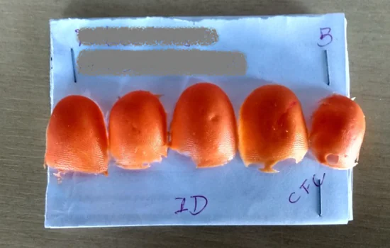 Detran.SP encontra moldes de silicone em autoescola de Carapicuíba