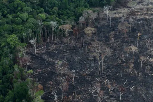 Coalizão de empresas e ONGs cobra ampliação de meta climática e redução do desmate