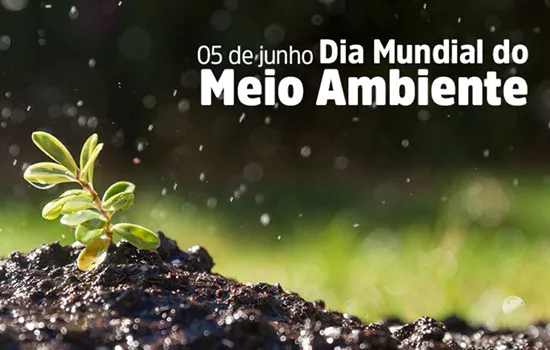 MPF: omissão intencional de autoridades gerou enorme aumento de danos ambientais