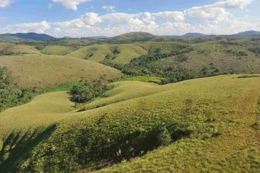 Dia Nacional do Cerrado: Conheça três parques com este bioma no Estado de SP