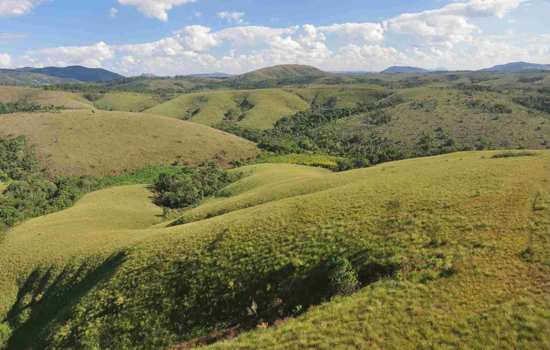 Dia Nacional do Cerrado: Conheça três parques com este bioma no Estado de SP