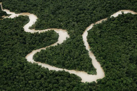 Dia da Amazônia é celebrado com seleção especial no Curta!On