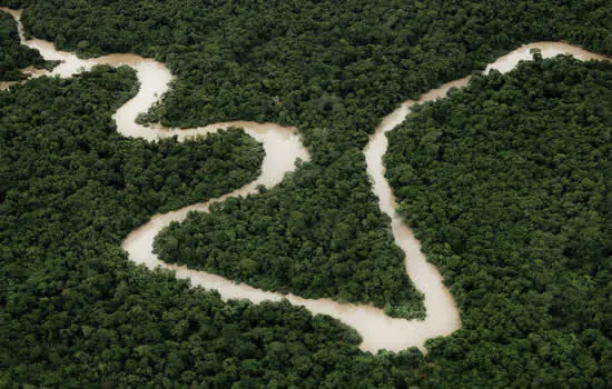 Dia da Amazônia é celebrado com seleção especial no Curta!On