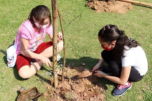 Santo André celebra o Dia da Árvore com palestra e plantio de mudas