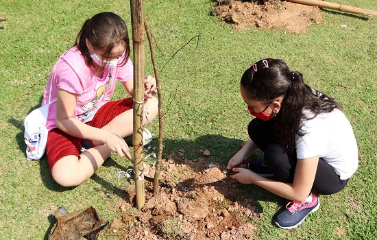 Santo André celebra o Dia da Árvore com palestra e plantio de mudas