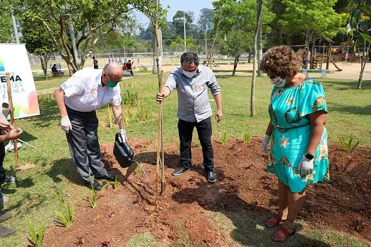 Prefeito José de Filippi Júnior faz plantio de “diadema” no Parque Ecológico Eldorado