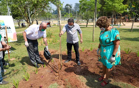 Prefeito José de Filippi Júnior faz plantio de “diadema” no Parque Ecológico Eldorado