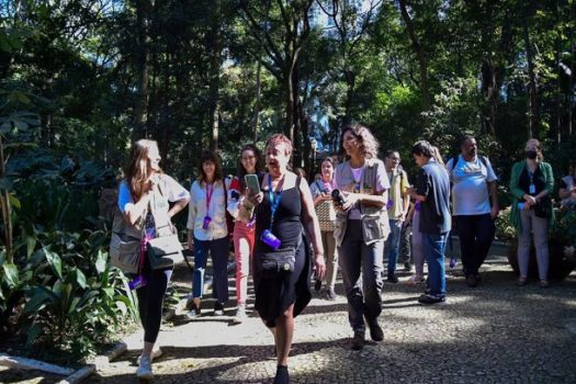 “Caça às árvores” e trilhas marcam Dia da Mata Atlântica em São Paulo