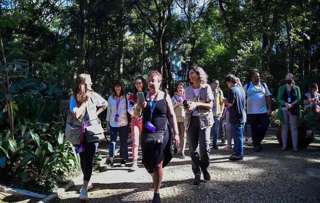 “Caça às árvores” e trilhas marcam Dia da Mata Atlântica em São Paulo