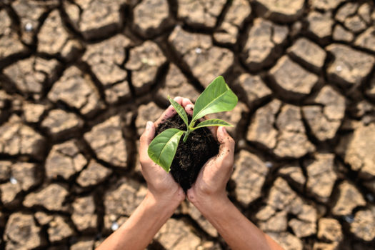 Dia Internacional da Terra: Como está a preocupação da população mundial com o planeta?