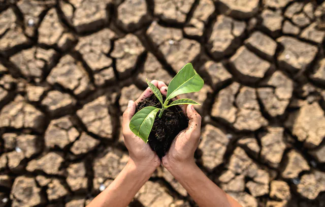 Dia Internacional da Terra: Como está a preocupação da população mundial com o planeta?