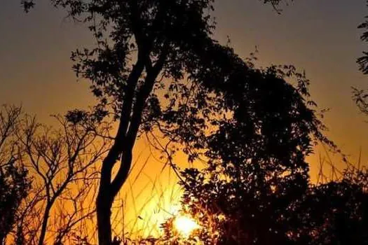 UFSCar celebra o Dia do Cerrado com apresentação musical