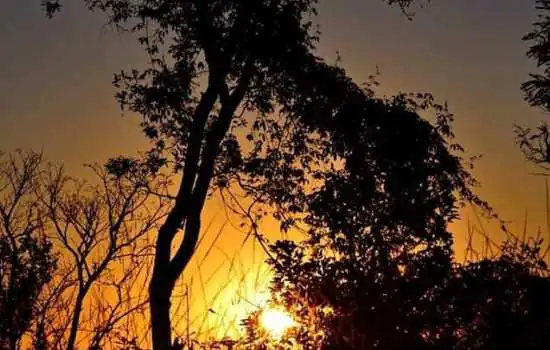 UFSCar celebra o Dia do Cerrado com apresentação musical