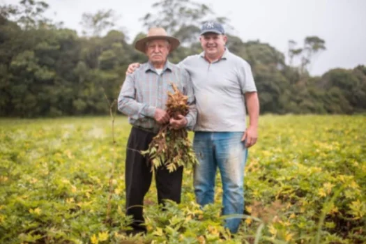 Pai e filho: uma vida inteira dedicada ao trabalho no campo