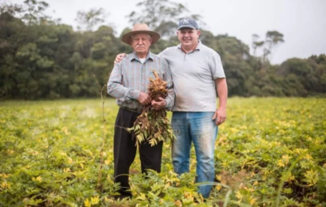 Pai e filho: uma vida inteira dedicada ao trabalho no campo