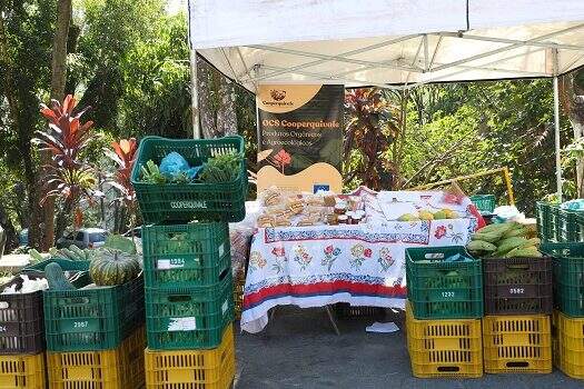 Quilombolas vendem orgânicos na feira noturna de Diadema