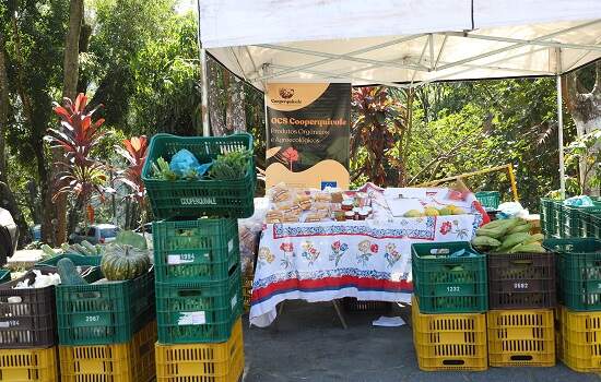 Quilombolas vendem orgânicos na feira noturna de Diadema