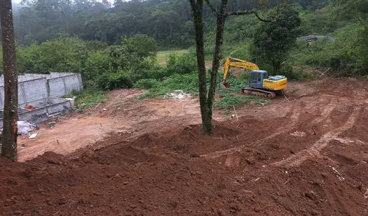 Guarda Ambiental de Diadema flagra desmatamento no Eldorado