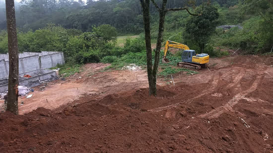 Guarda Ambiental de Diadema flagra desmatamento no Eldorado