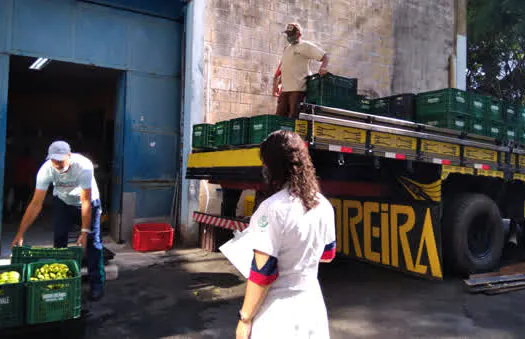 Diadema recebe 4 toneladas de bananas via Programa de Aquisição de Alimentos