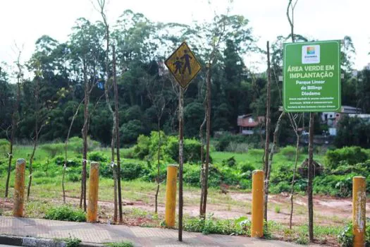 Diadema planta quase mil árvores para ampliar cobertura verde