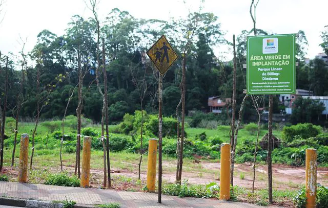 Diadema planta quase mil árvores para ampliar cobertura verde