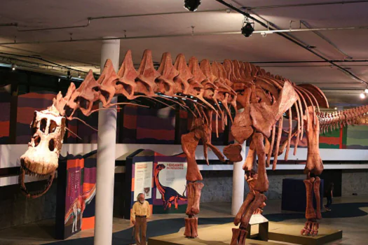 SP: exposição mostra réplica do maior dinossauro do mundo