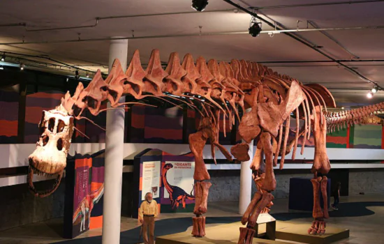 SP: exposição mostra réplica do maior dinossauro do mundo