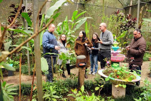 Diretora da Escola de Ecologia de São Caetano visita Borboletário Diadema