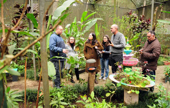 Diretora da Escola de Ecologia de São Caetano visita Borboletário Diadema