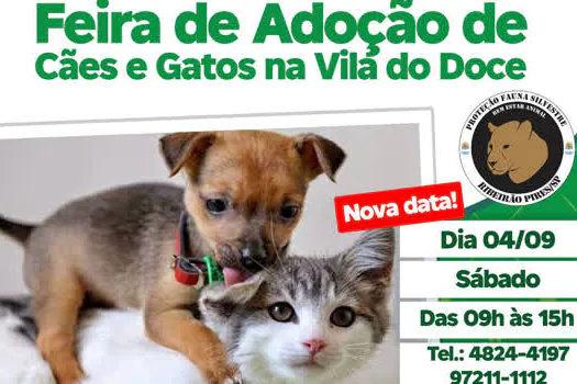 Feira de Adoção de Cães e Gatos de Ribeirão Pires será no próximo sábado