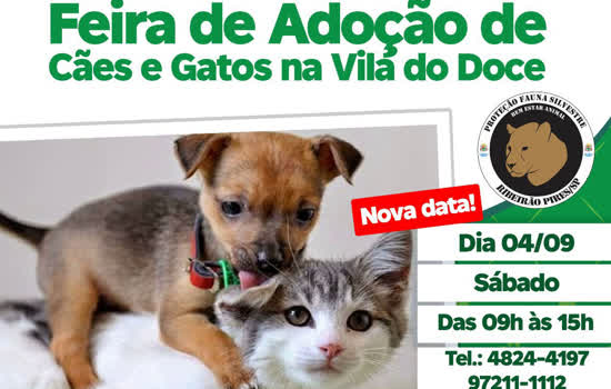 Feira de Adoção de Cães e Gatos de Ribeirão Pires será no próximo sábado