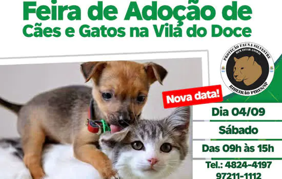 Feira de Adoção de Cães e Gatos de Ribeirão Pires será no próximo sábado