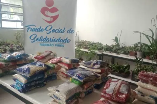 Fundo Social de Ribeirão Pires repassou 19 toneladas de alimentos em janeiro