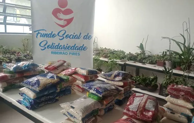 Fundo Social de Ribeirão Pires repassou 19 toneladas de alimentos em janeiro