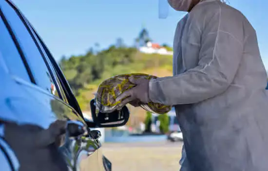 Sindicato faz “Drive Thru” Solidário para arrecadação de alimentos e produtos de limpeza