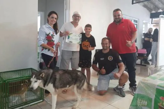 Ribeirão Pires inicia doações de cachorros resgatados em canil clandestino