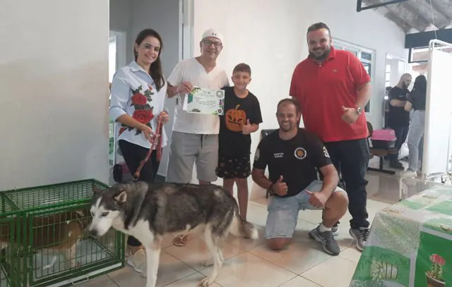 Ribeirão Pires inicia doações de cachorros resgatados em canil clandestino