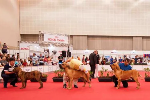 São Paulo recebe maior evento de cães do mundo