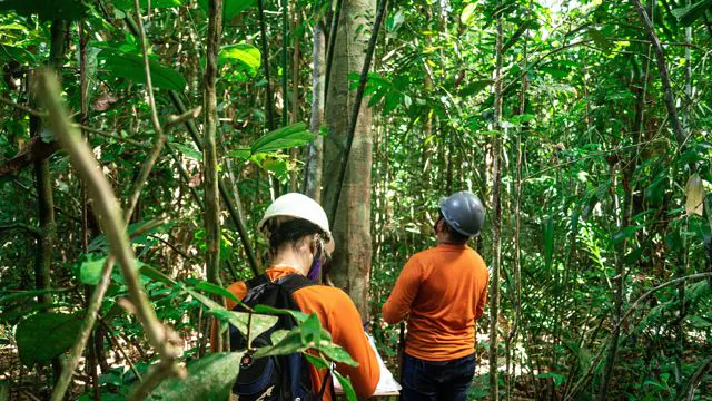 Dow financia projetos para impulsionar soluções sociais e sustentáveis