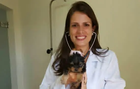 Dra. Ana pede inclusão de veterinários e aumento no número de equipes do NASF