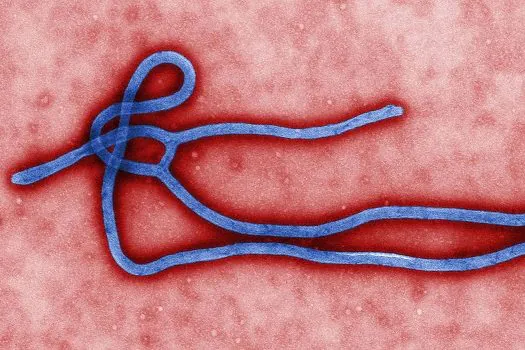 Novo surto de ebola atinge a República Democrática do Congo