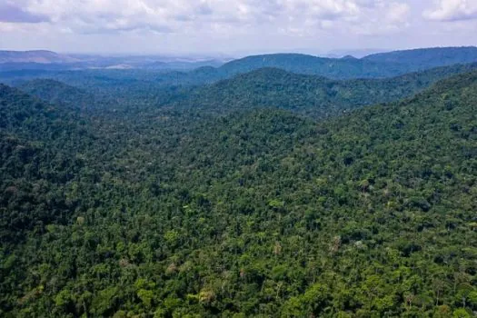 Ecologistas lutam contra desmatamento e pobreza na Amazônia