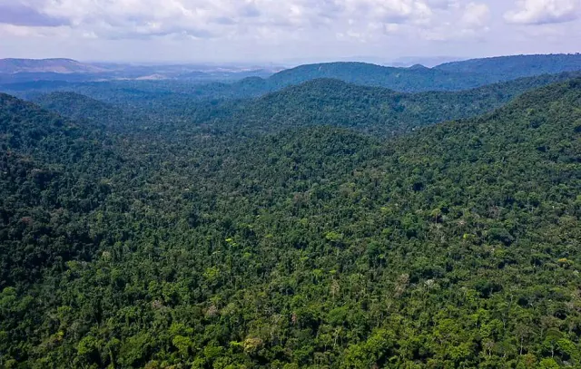 Ecologistas lutam contra desmatamento e pobreza na Amazônia