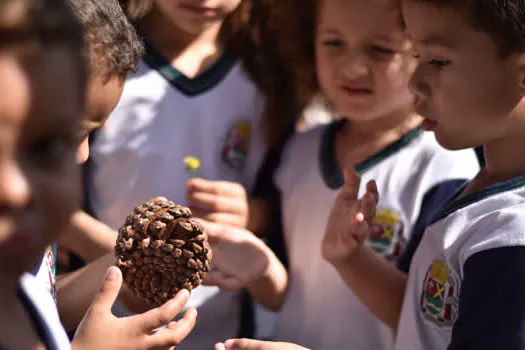 Mais de 700 alunos de Ribeirão Pires aprenderam sobre preservação ambiental