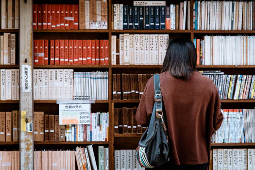 Educação, segurança e gestão de risco