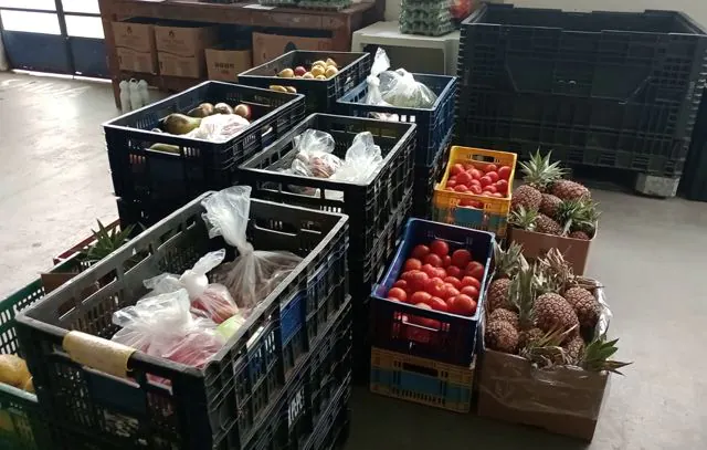 Ribeirão Pires entrega 900kg de alimentos para entidades sociais